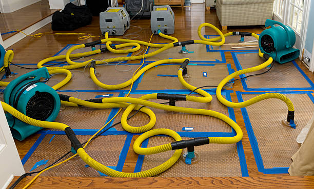 Professional Crawl Space Water Removal technician working in Bondsville, MA